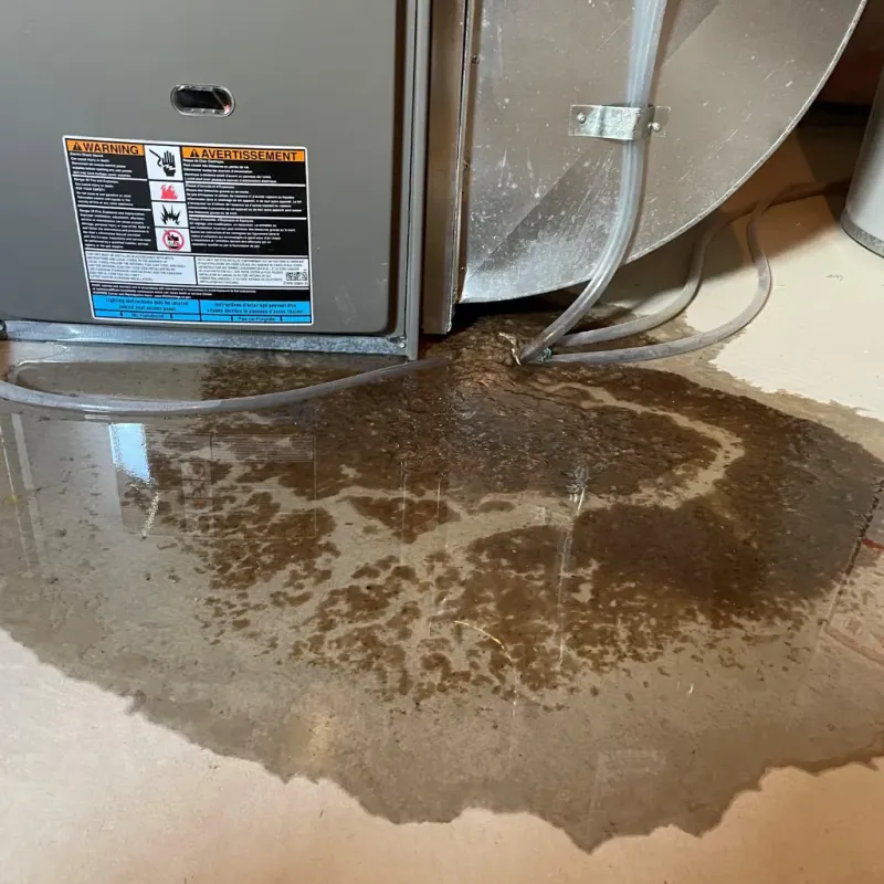 Appliance Leak Cleanup in Stokes County, NC